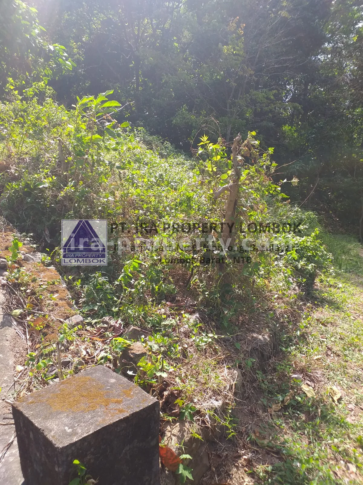 Land for Sale Near Senggigi, Kerandangan Tourist Area