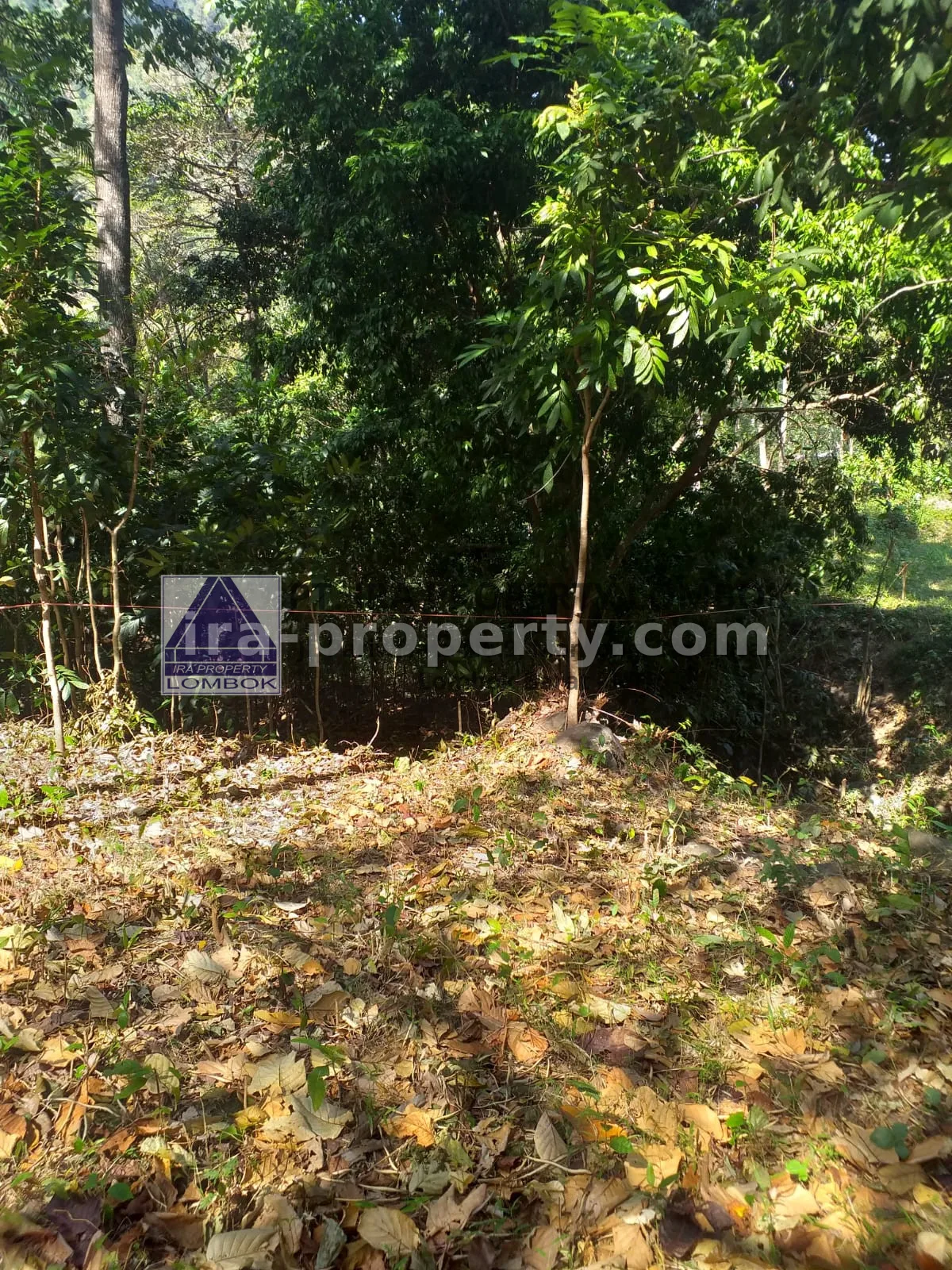 Land for Sale Near Senggigi, Kerandangan Tourist Area