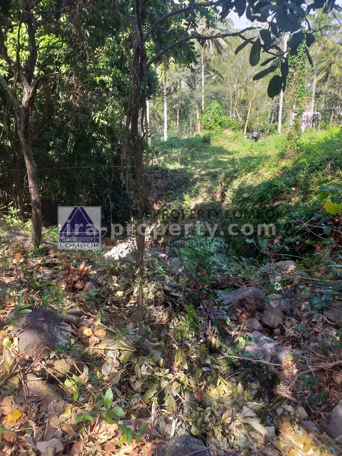 Land for Sale Near Senggigi, Kerandangan Tourist Area