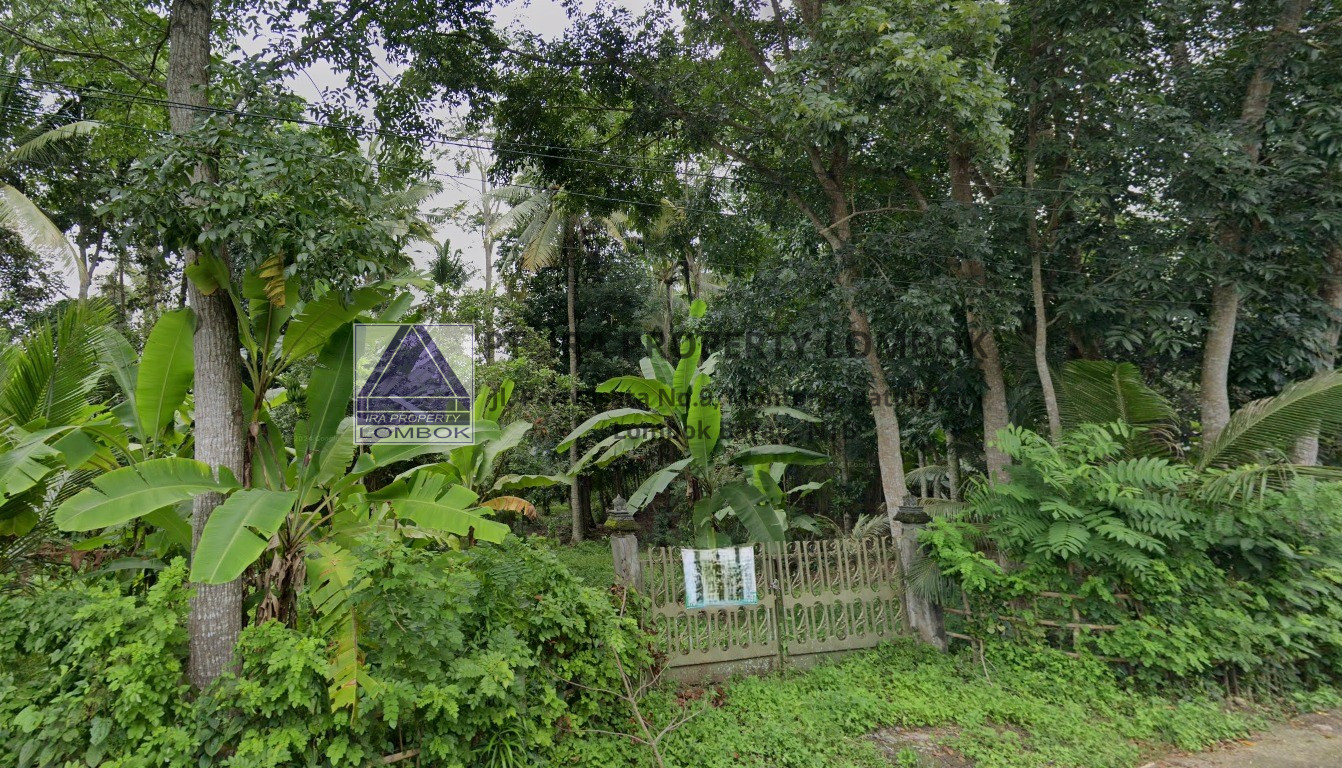 Prime Land for Sale in Suranadi, West Lombok