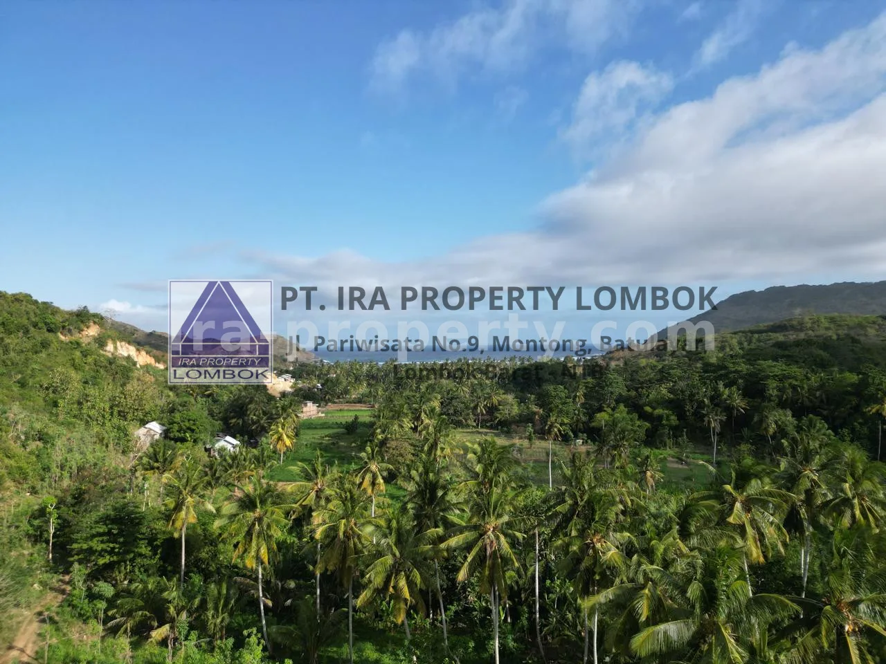 Ocean View Land for Sale in Prabu Areguling, Kuta Mandalika