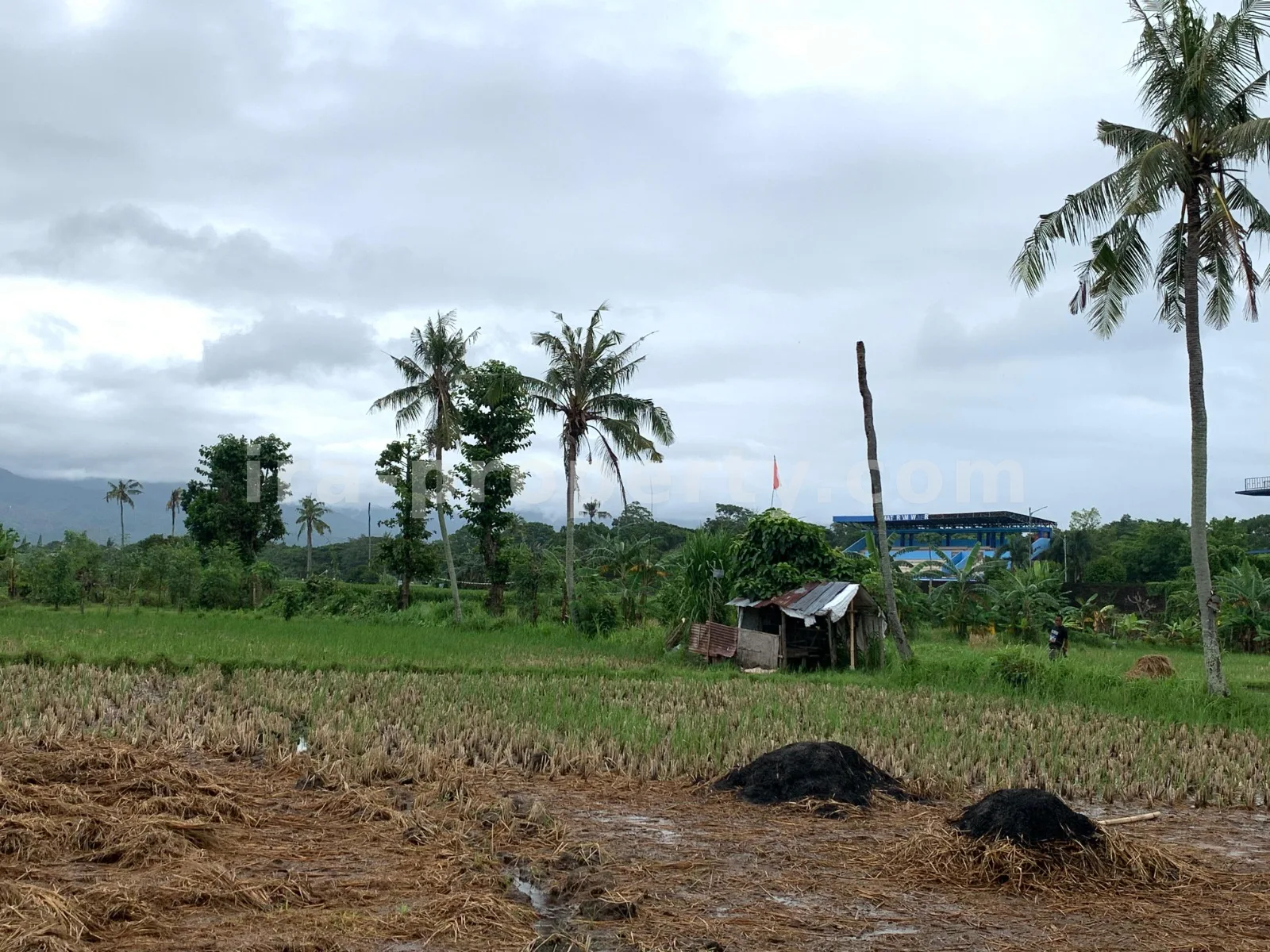 Land for Sale in Udayana, Mataram City