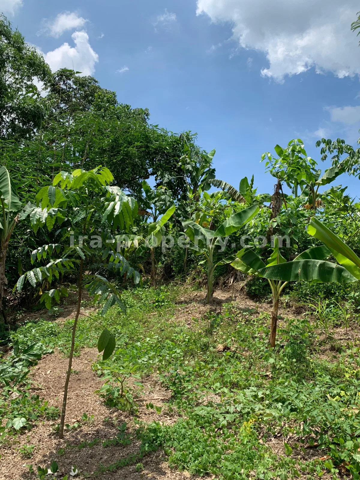 Land for Sale in Labulia, Near the Lombok Airport Bypass, Central Lombok