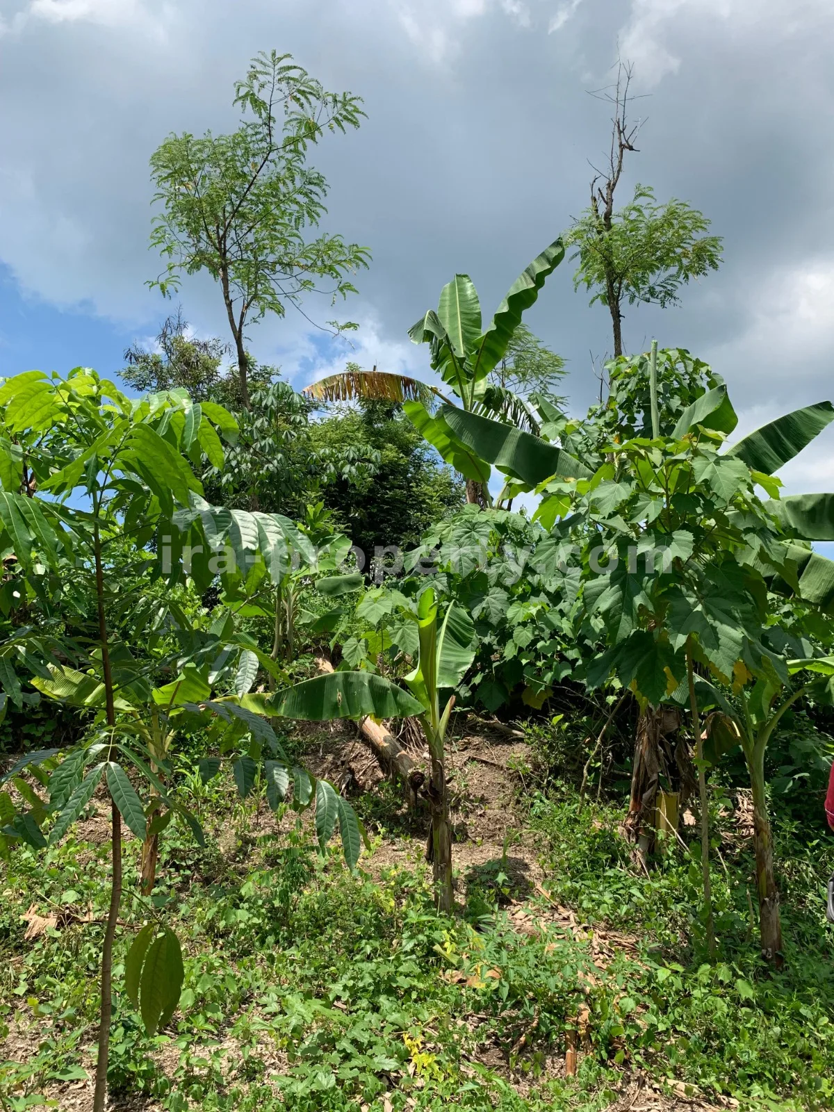 Land for Sale in Labulia, Near the Lombok Airport Bypass, Central Lombok