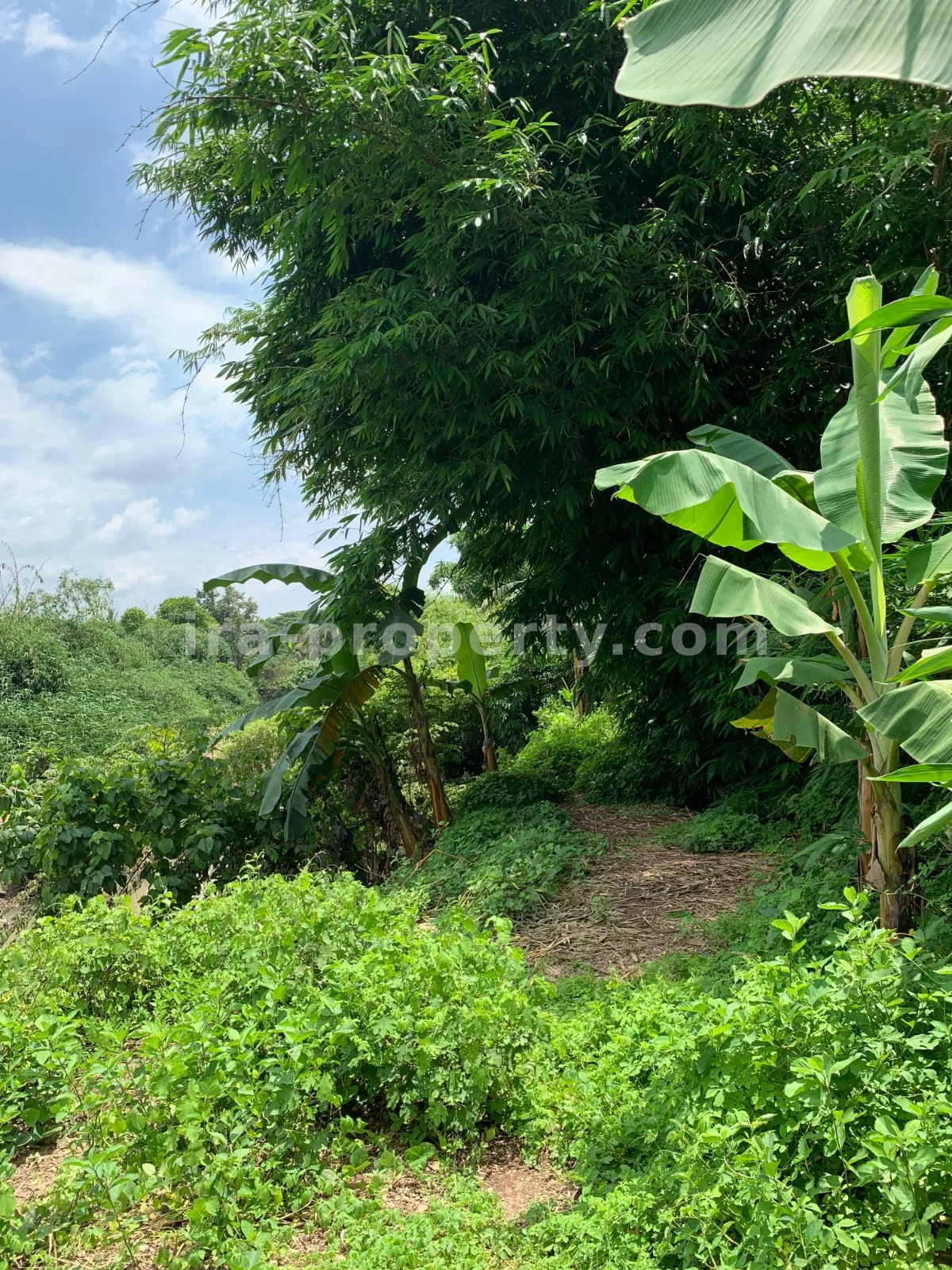 Land for Sale in Labulia, Near the Lombok Airport Bypass, Central Lombok