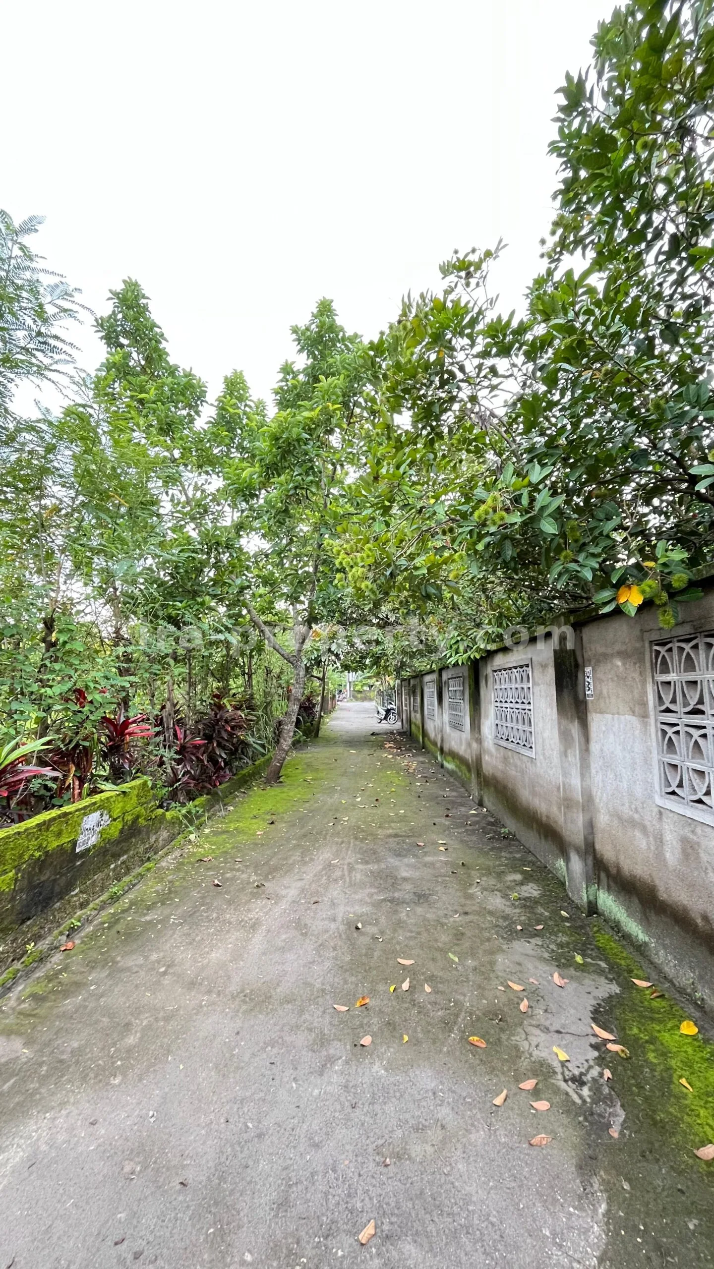 Villa Concept House for Sale in Kekeri, West Lombok