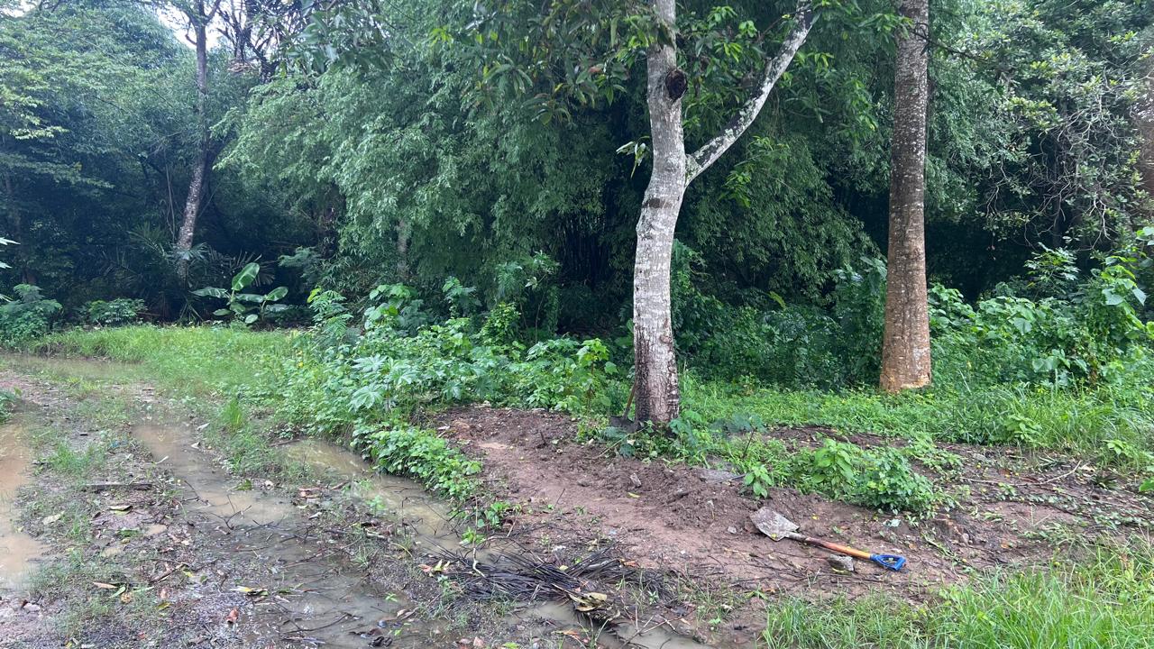 Strategic Land for Sale in Central Kuta, West Lombok