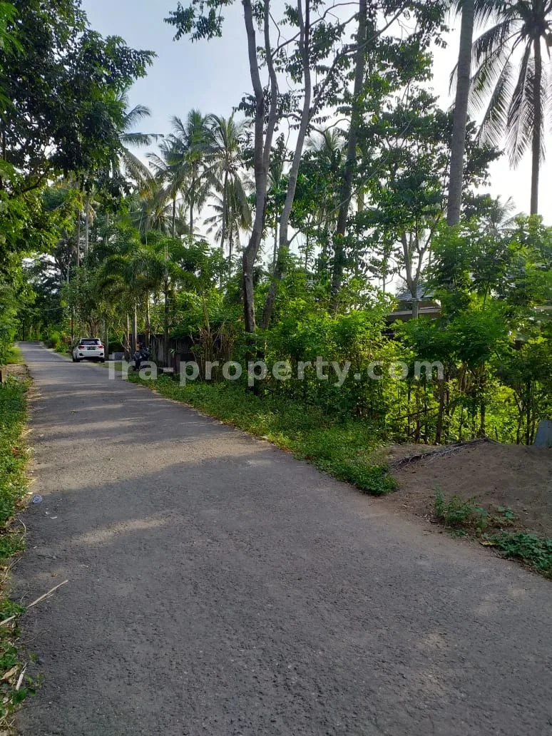 Land for Sale in Kerandangan near Senggigi, West Lombok