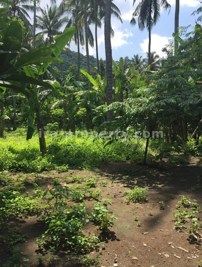 Land for Sale in Kerandangan near Senggigi, West Lombok