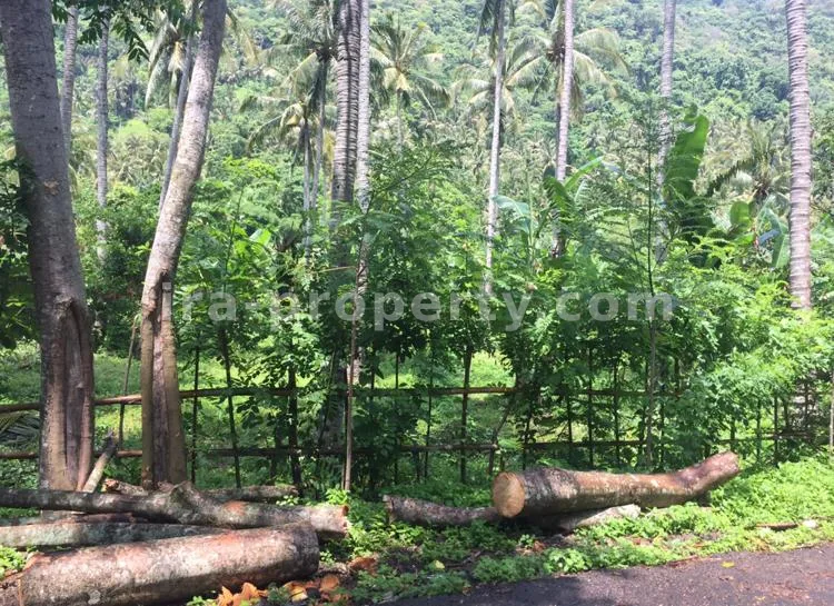 Land for Sale in Kerandangan near Senggigi, West Lombok