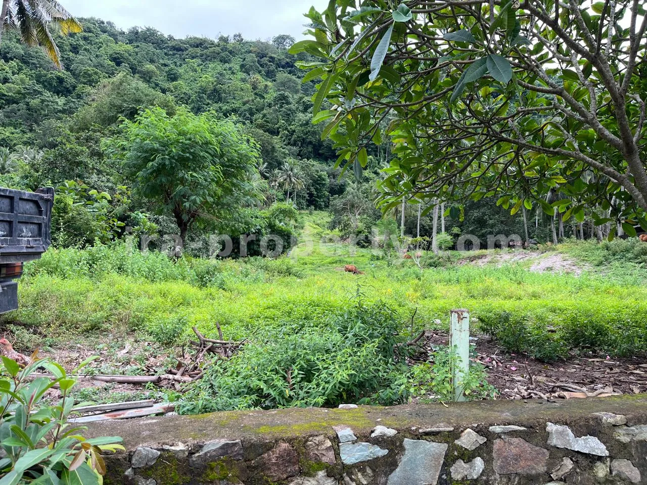 Land for Sale in Kerandangan near Senggigi, West Lombok
