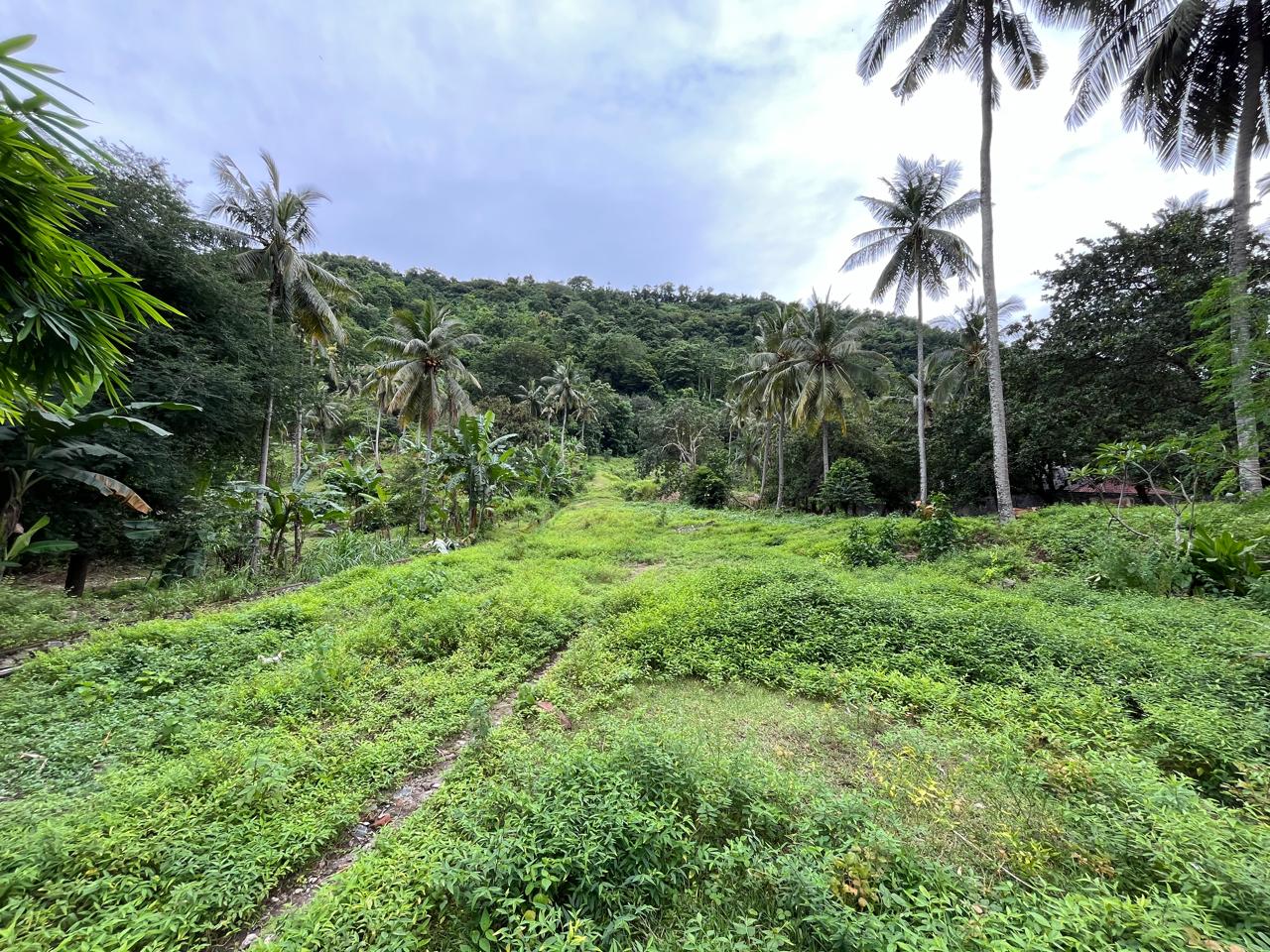 Land for Sale in Kerandangan near Senggigi, West Lombok