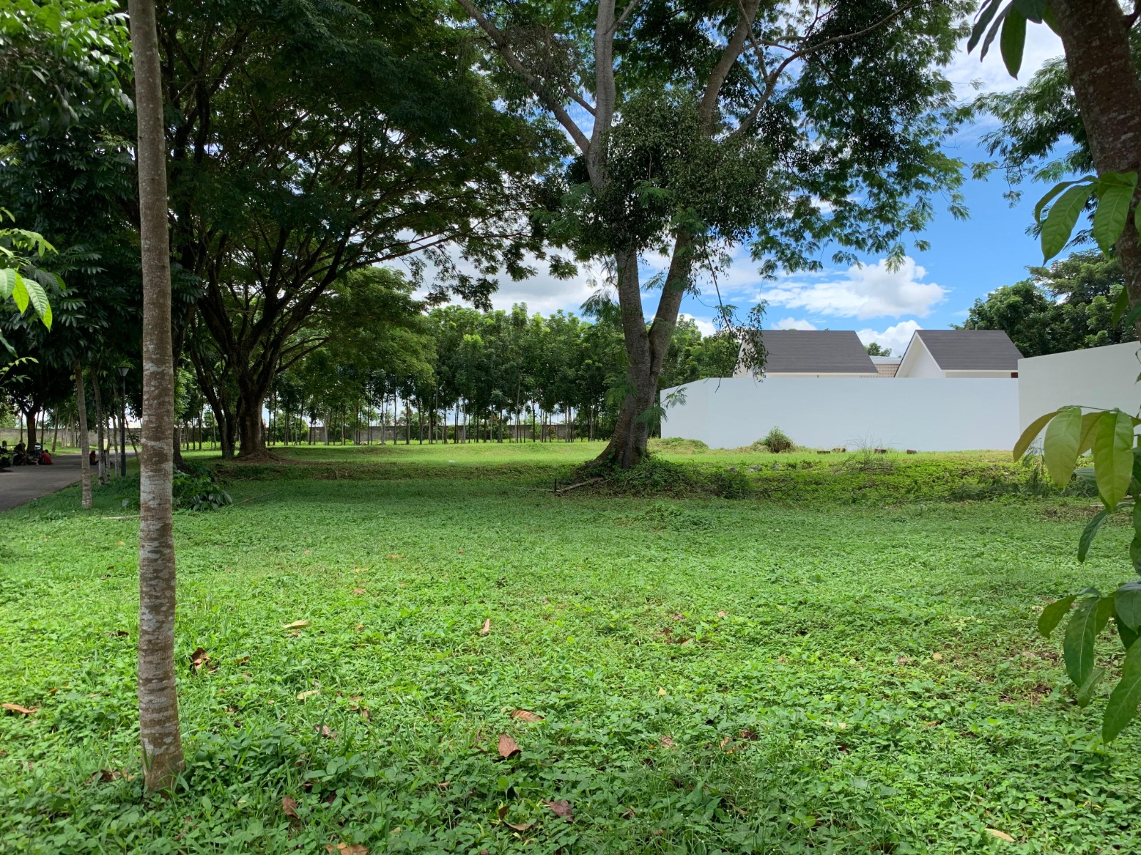 Premium Land Plot for Sale in Mataram