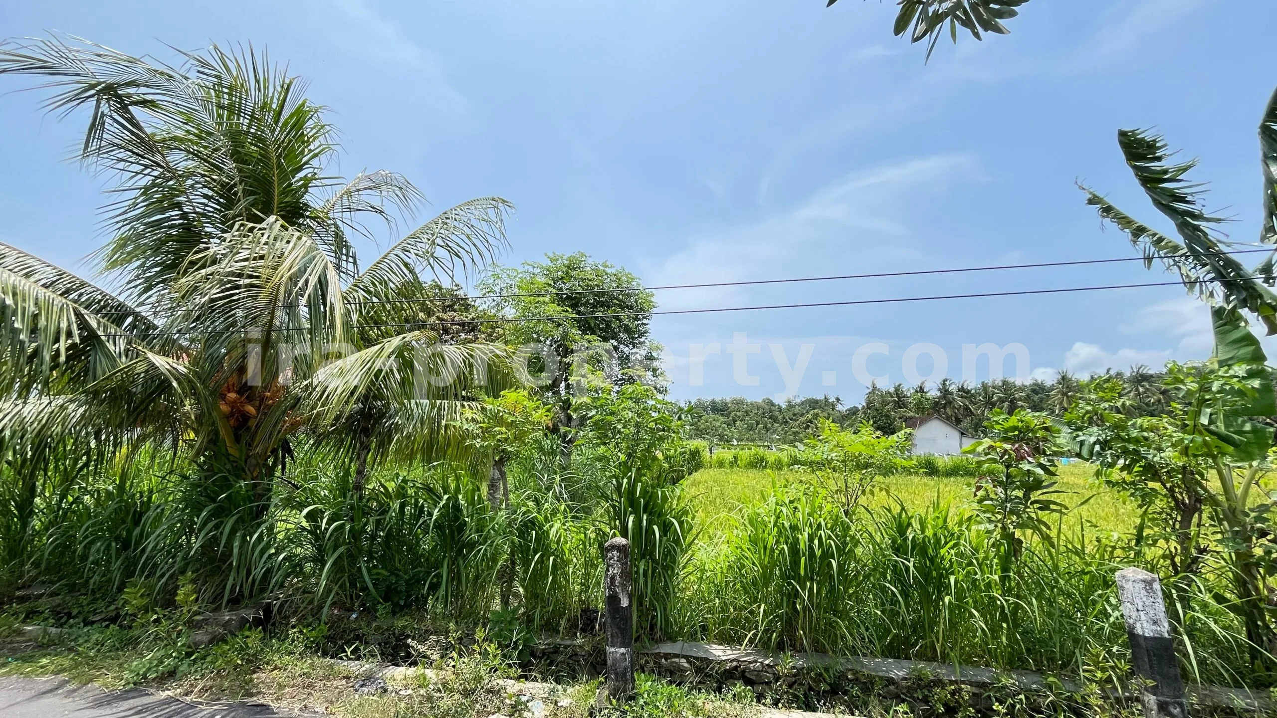 Land for Sale in Bale Solah, Sandik, West Lombok
