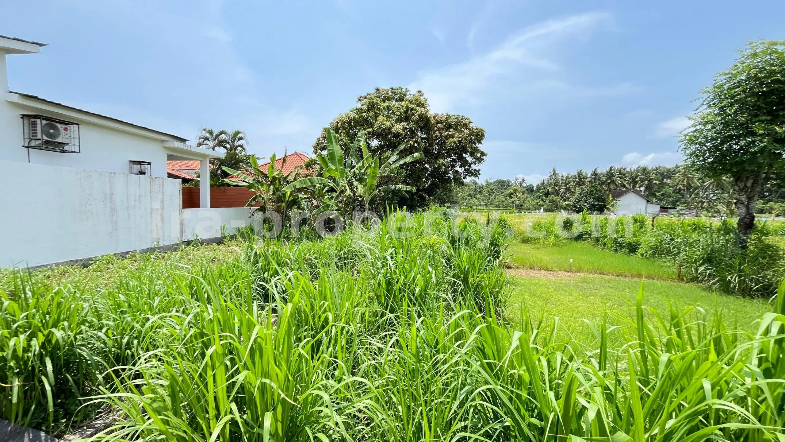 Land for Sale in Bale Solah, Sandik, West Lombok