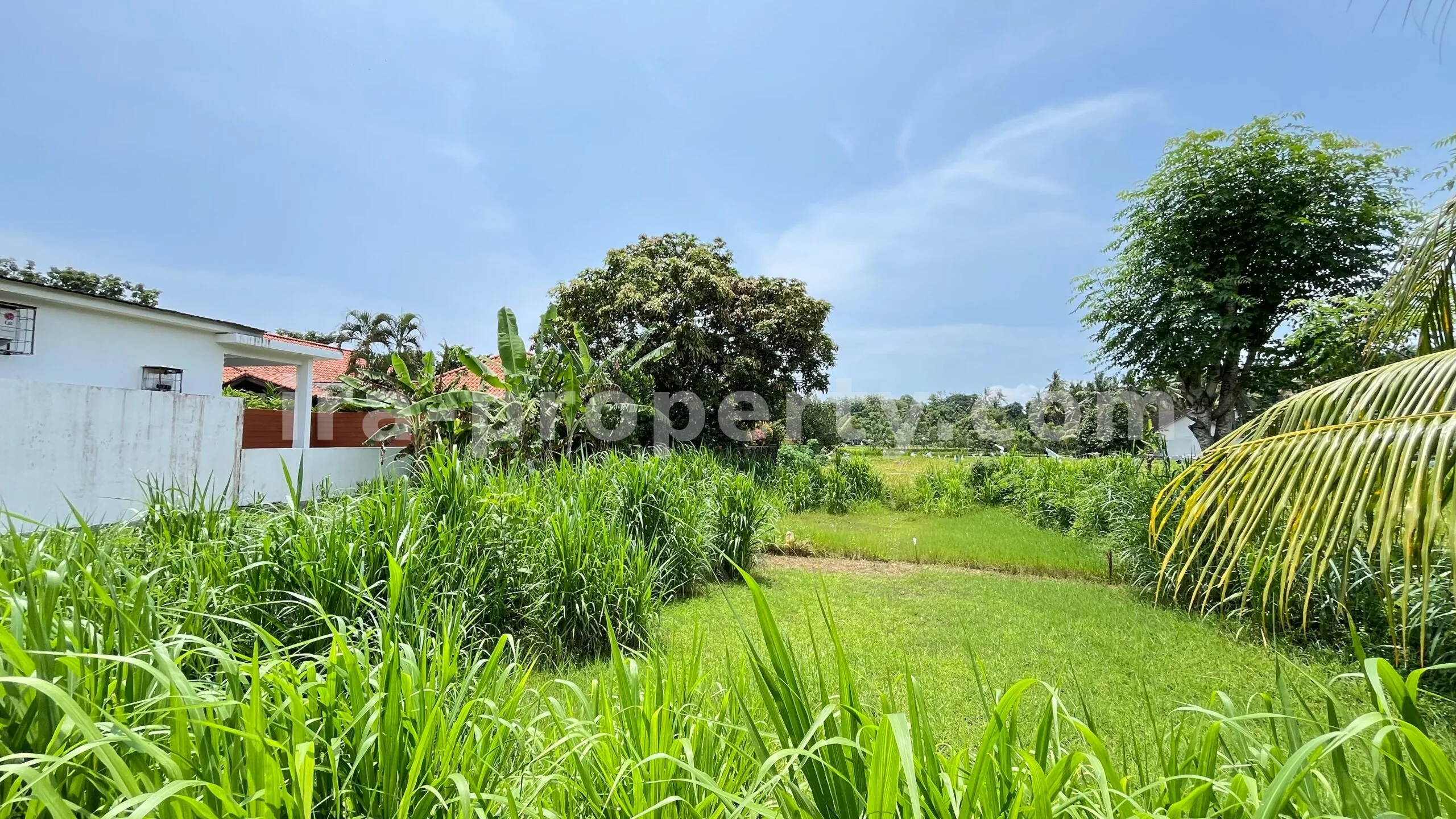 Land for Sale in Bale Solah, Sandik, West Lombok