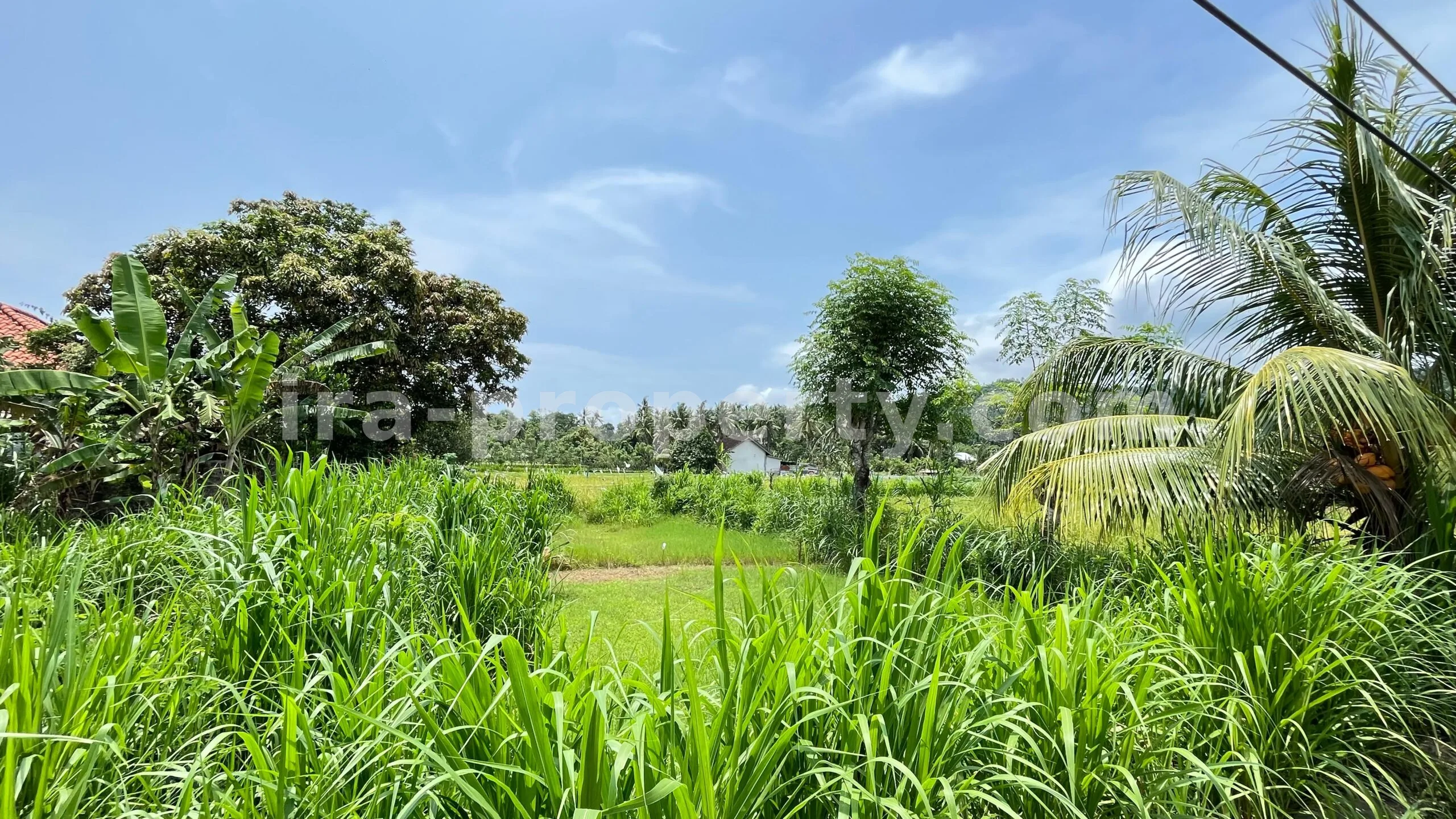 Land for Sale in Bale Solah, Sandik, West Lombok