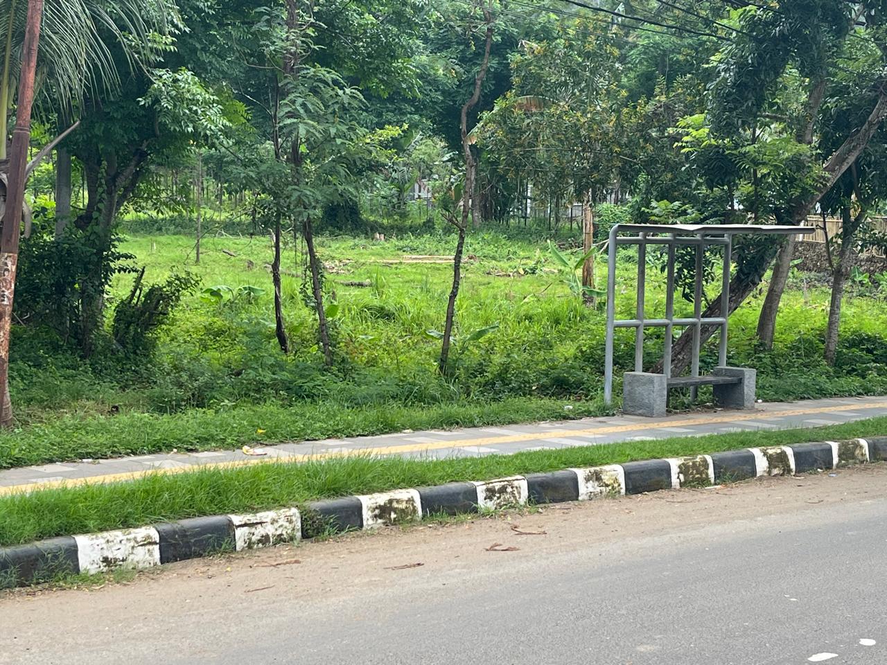 Land for Sale in Central Kuta Mandalika