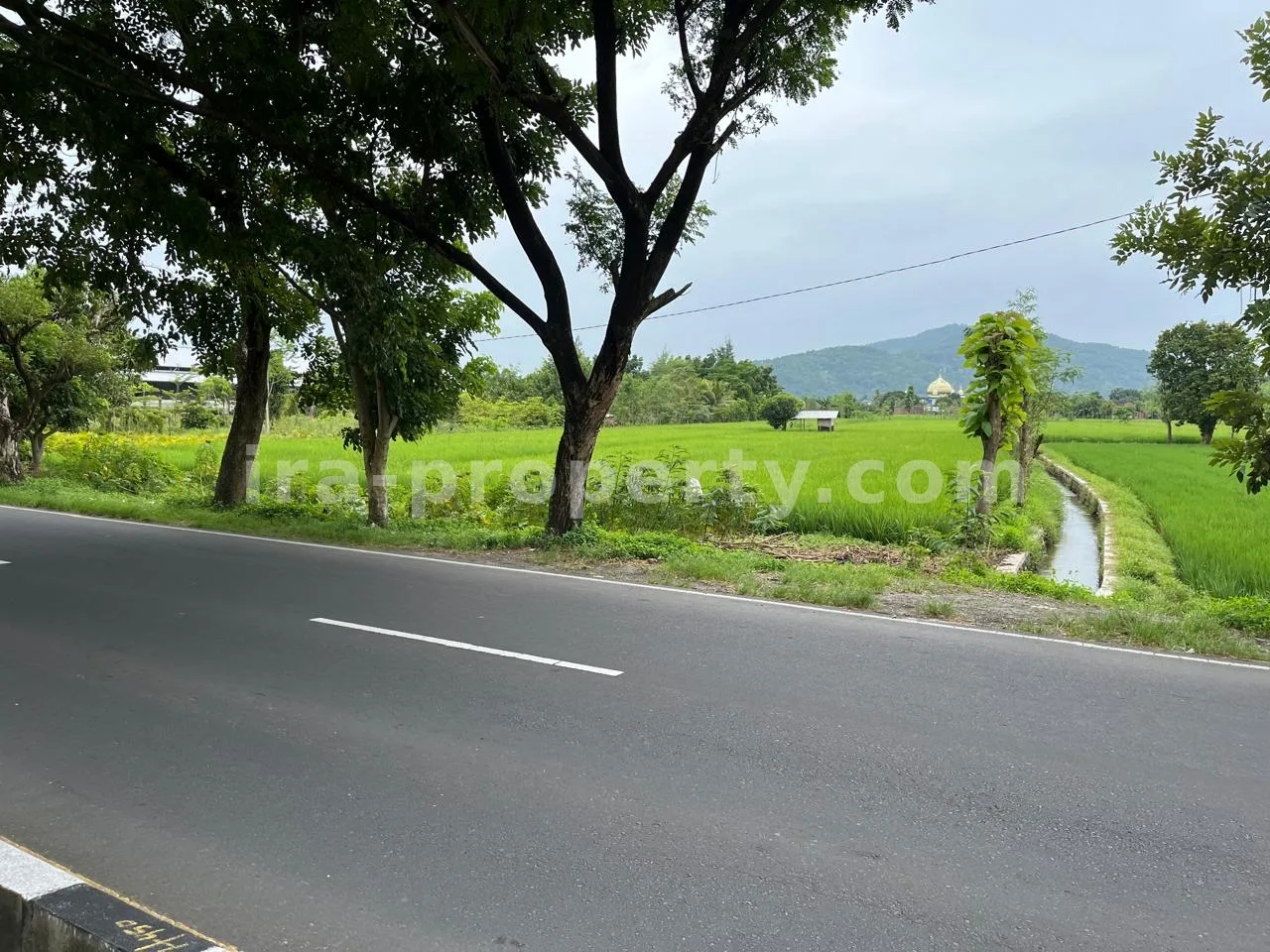 Land for Sale in Bypass Lombok Airport, Central Lombok
