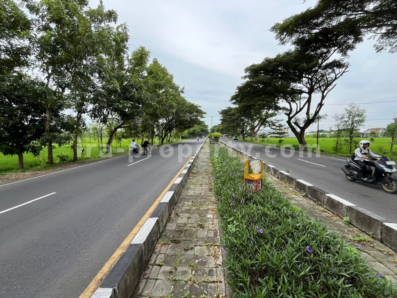 Land for Sale in Bypass Lombok Airport, Central Lombok