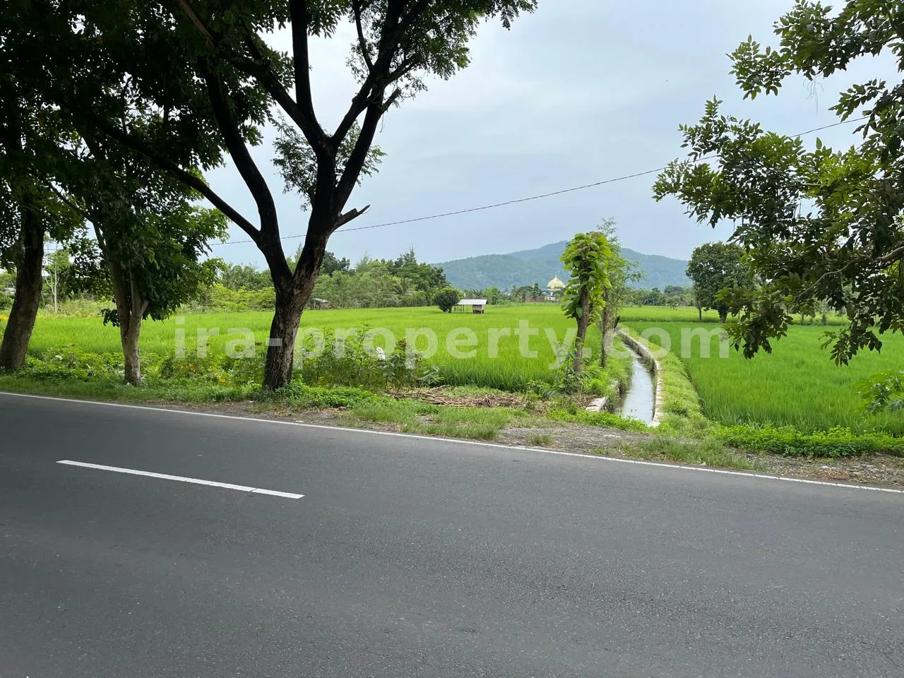 Land for Sale in Bypass Lombok Airport, Central Lombok
