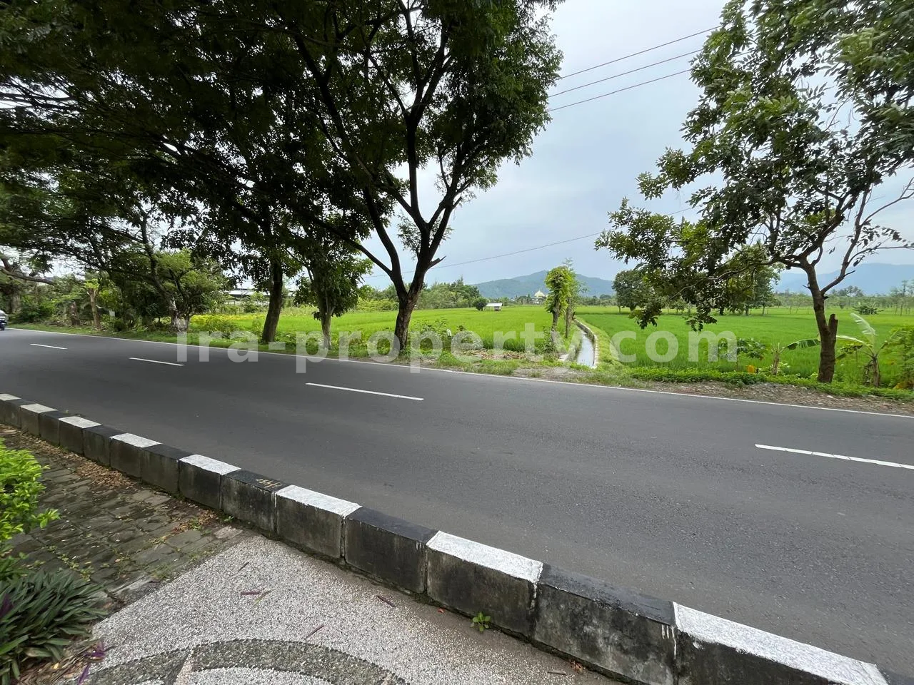 Land for Sale in Bypass Lombok Airport, Central Lombok