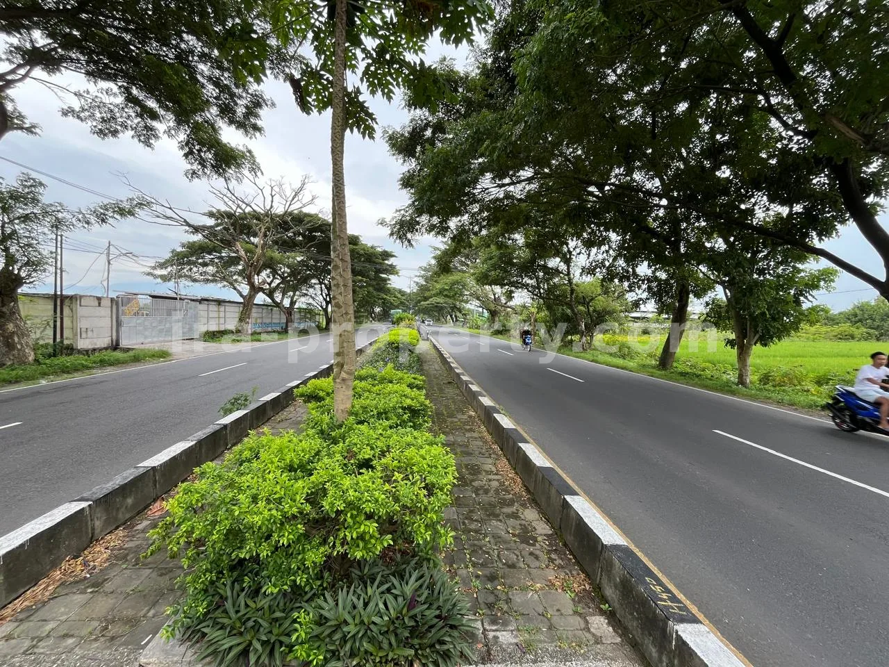 Land for Sale in Bypass Lombok Airport, Central Lombok