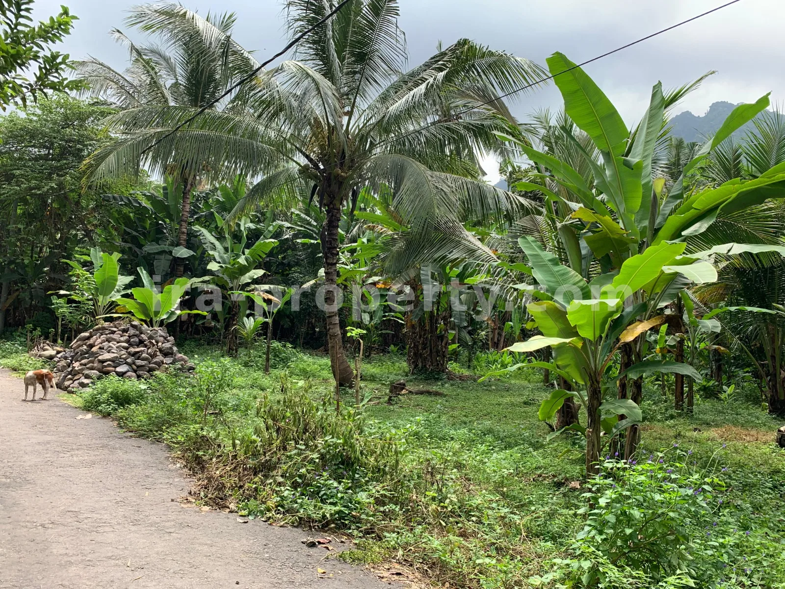 Land for Sale in Malimbu near Senggigi, West Lombok