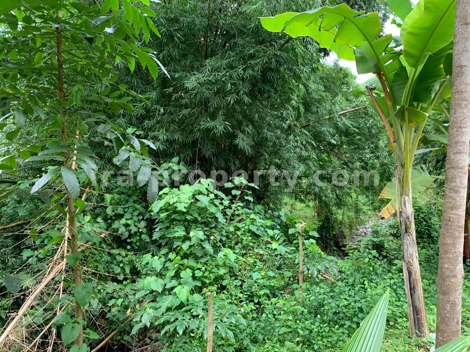 Land for Sale in Malimbu near Senggigi, West Lombok