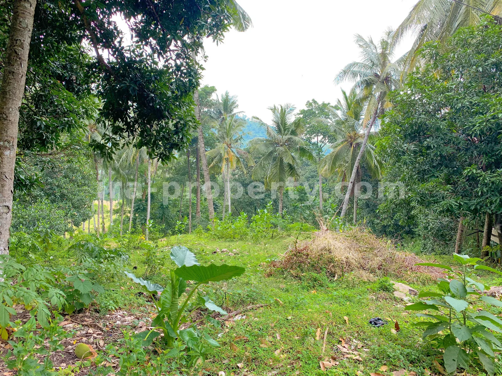 Land for Sale in Malimbu Main Road Near Senggigi, West Lombok