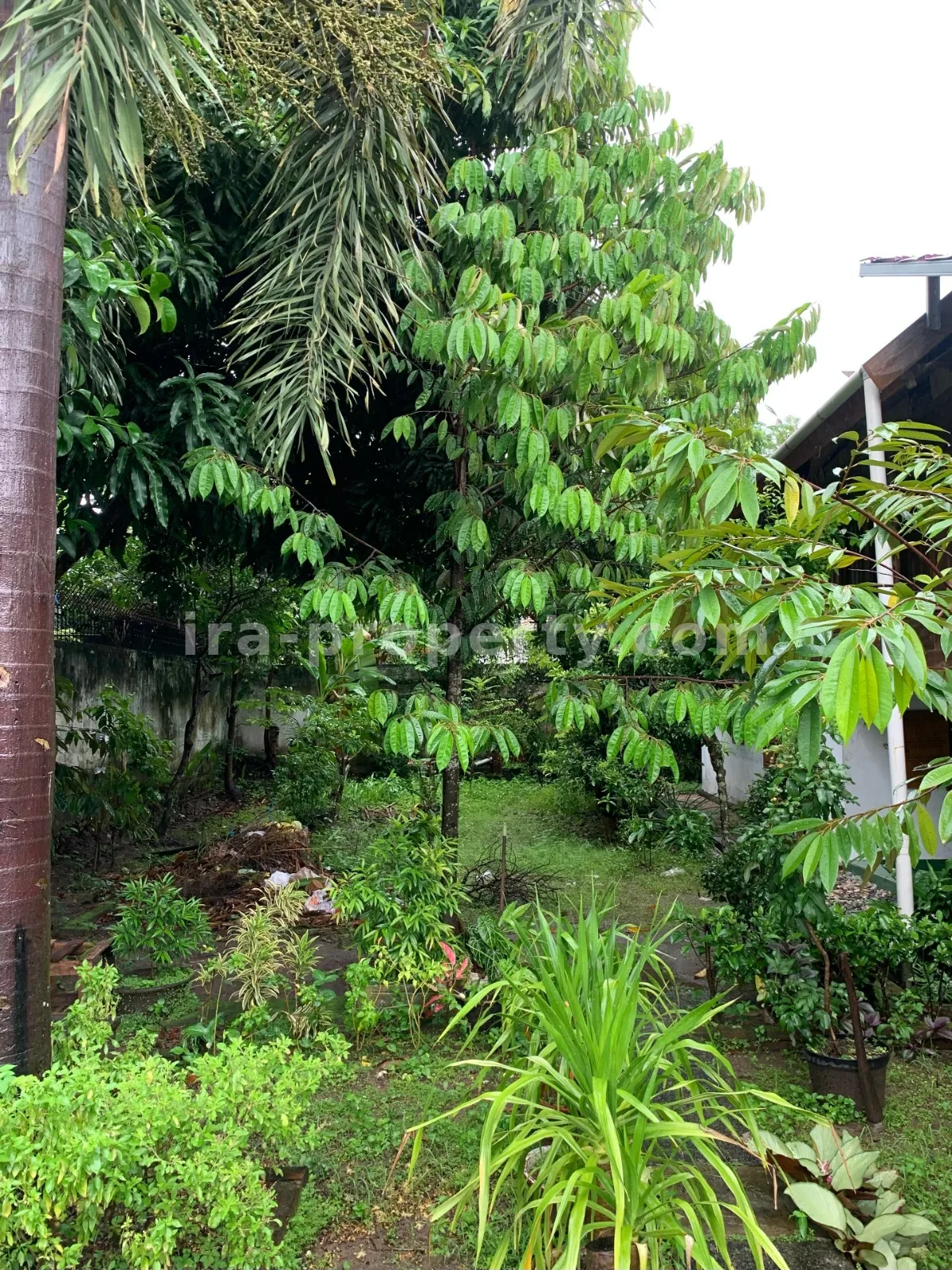 House for Sale in Panjitilar, Mataram
