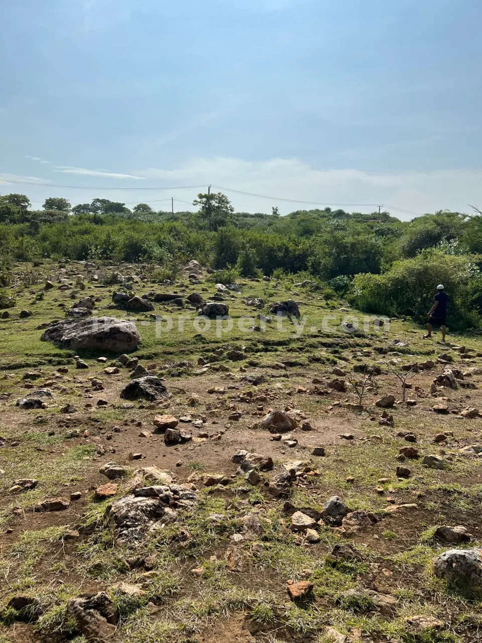 Hill View Land for Sale in Bumbang, Kuta Mandalika