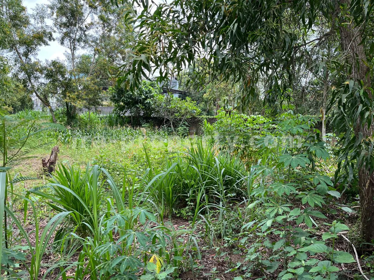 Land Plot for Sale in Central Kuta Mandalika