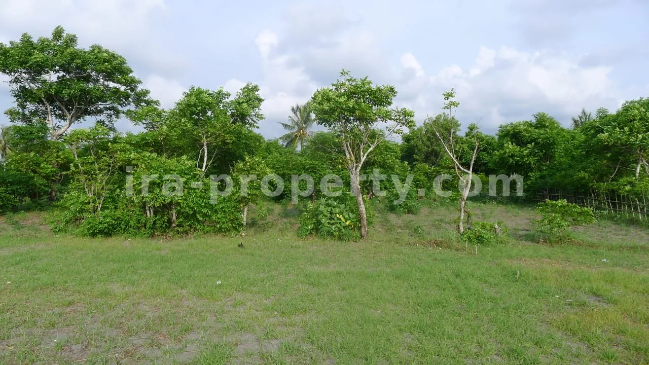Beachfront Land for Sale in Cemare Beach, West Lombok