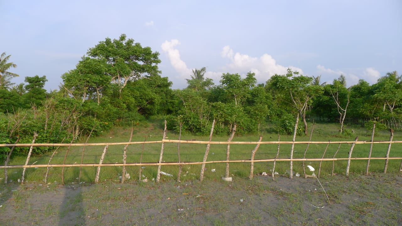 Beachfront Land for Sale in Cemare Beach, West Lombok