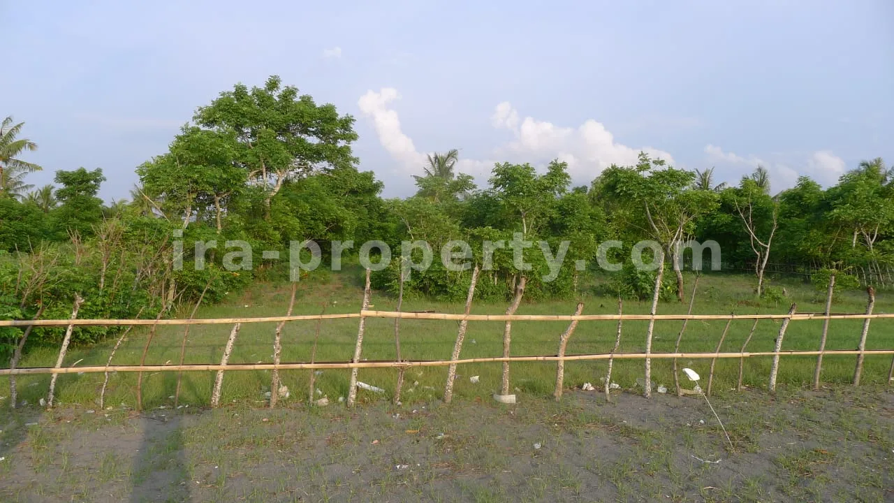 Beachfront Land for Sale in Cemare Beach, West Lombok