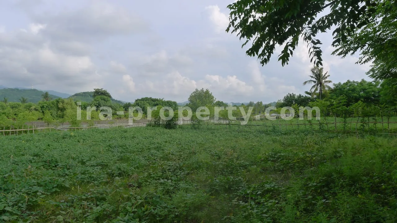 Beachfront Land for Sale in Cemare Beach, West Lombok
