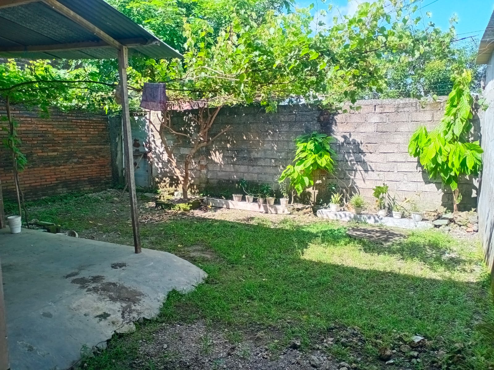 Photo 3