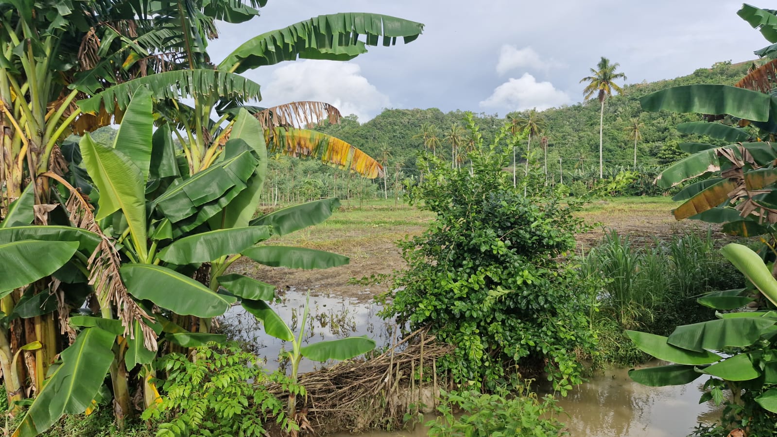 Land Plot for Sale in Selong Belanak, Central Lombok