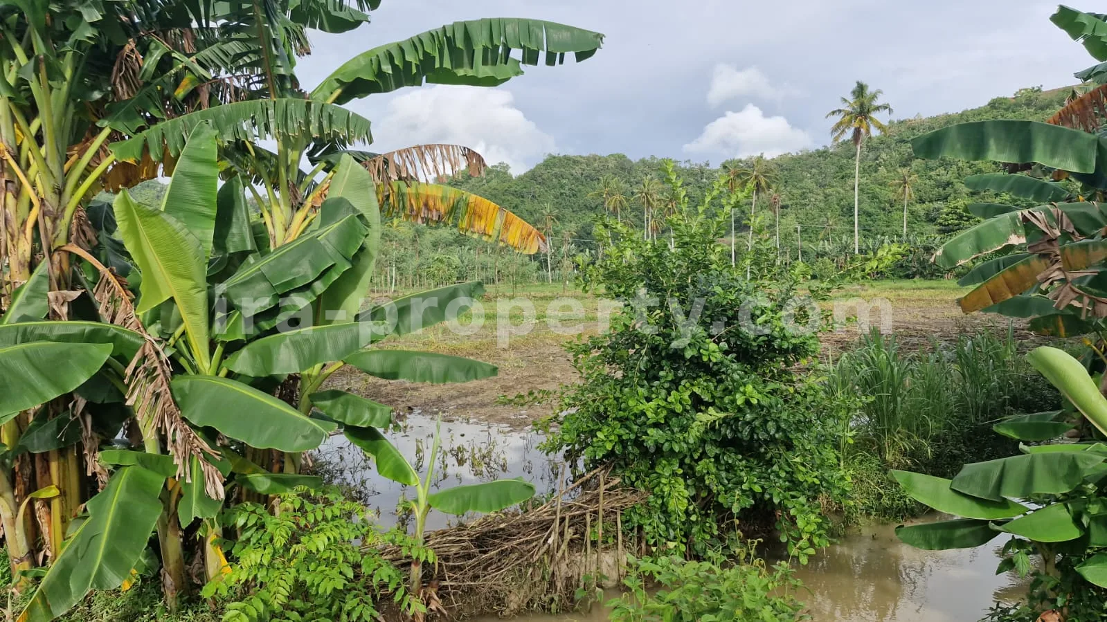 Land Plot for Sale in Selong Belanak, Central Lombok