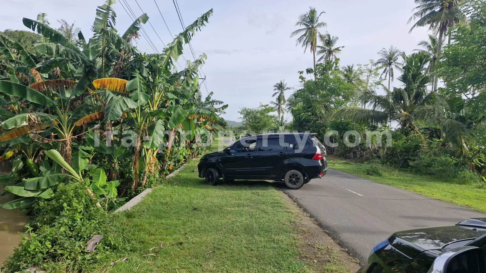 Land Plot for Sale in Selong Belanak, Central Lombok