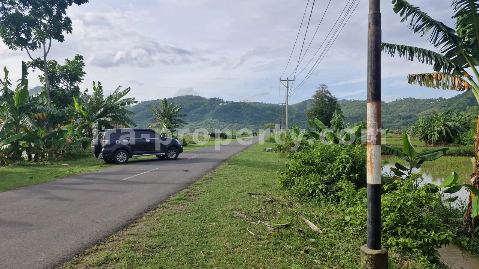 Land Plot for Sale in Selong Belanak, Central Lombok