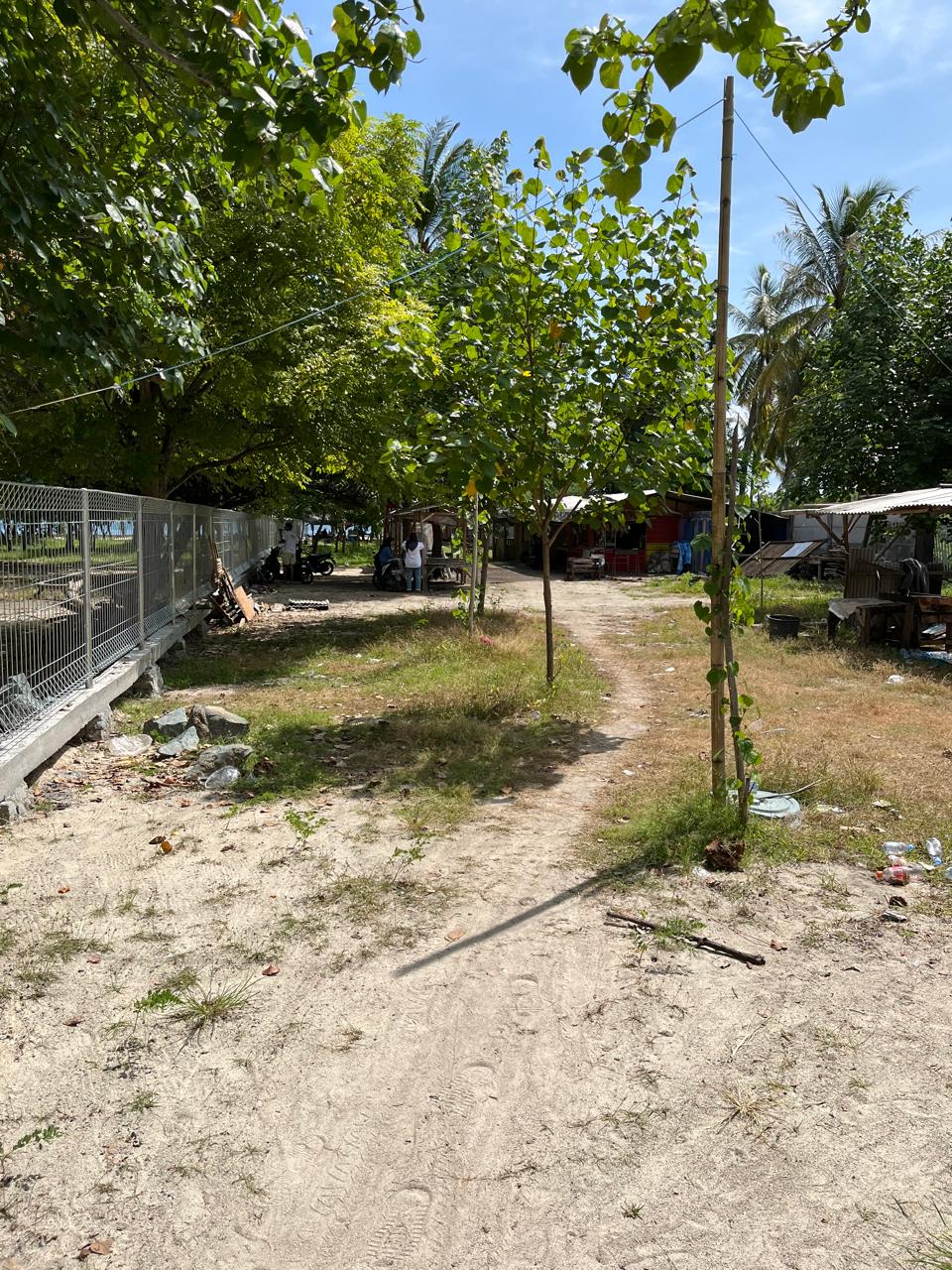 Photo 5