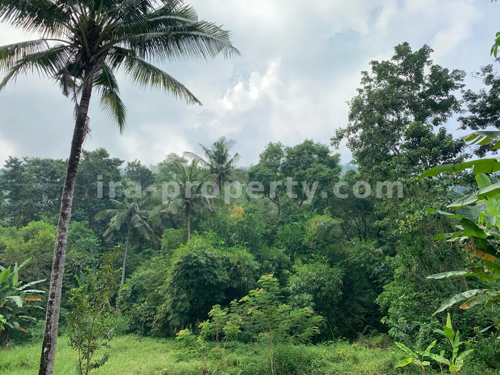Beach View Land for Sale in Kerandangan, West Lombok