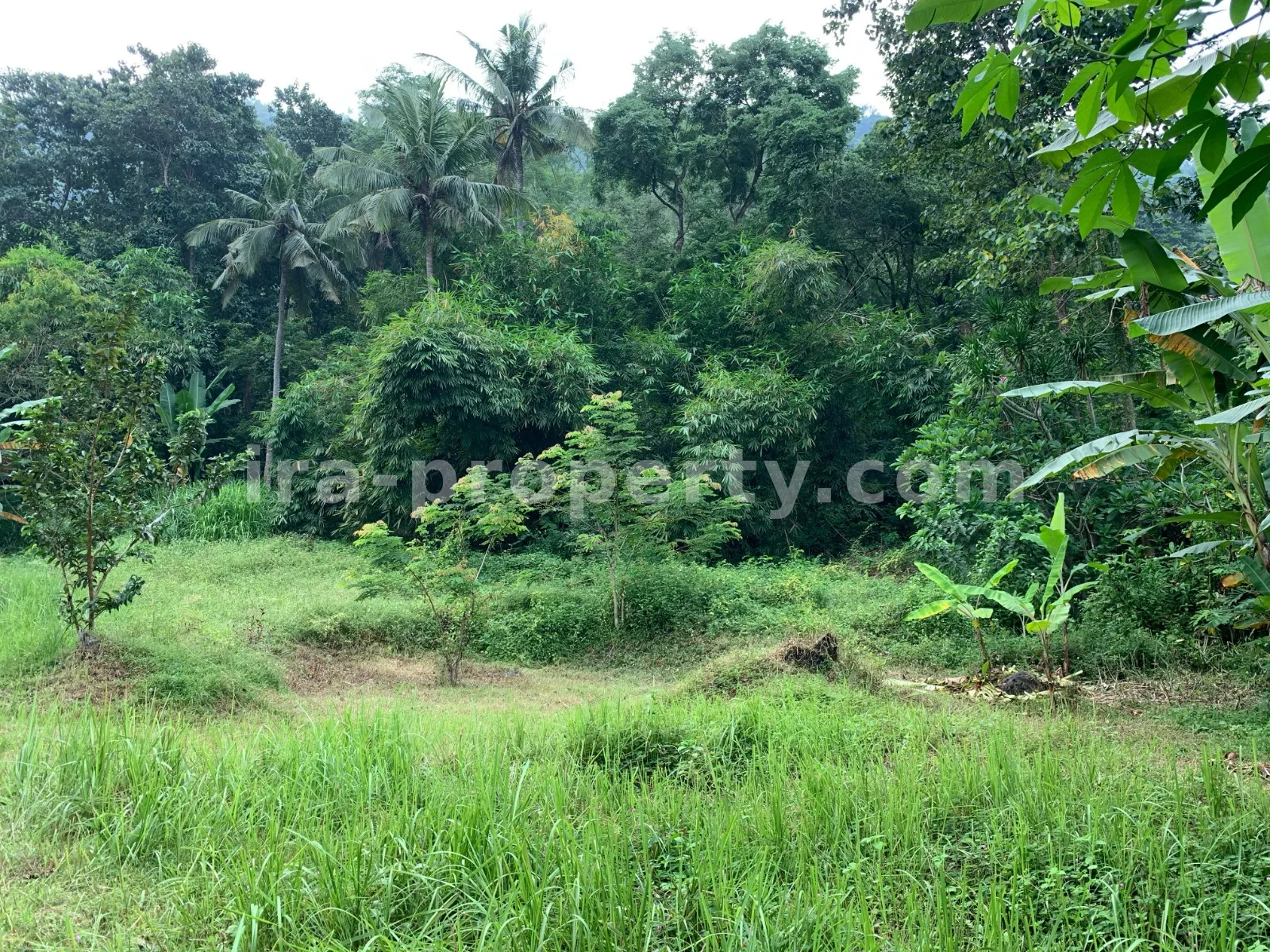 Beach View Land for Sale in Kerandangan, West Lombok