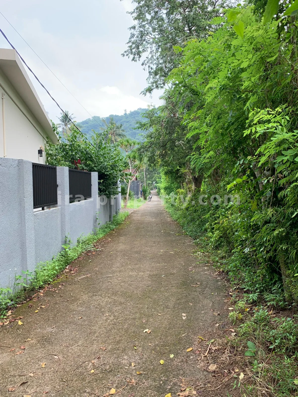 Beach View Land for Sale in Kerandangan, West Lombok