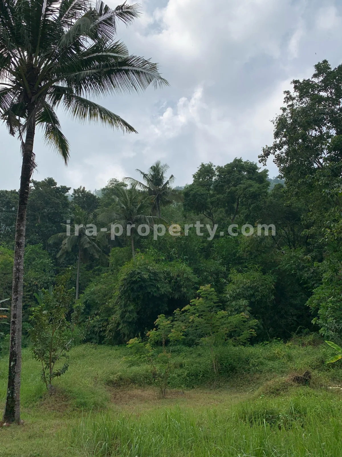 Beach View Land for Sale in Kerandangan, West Lombok