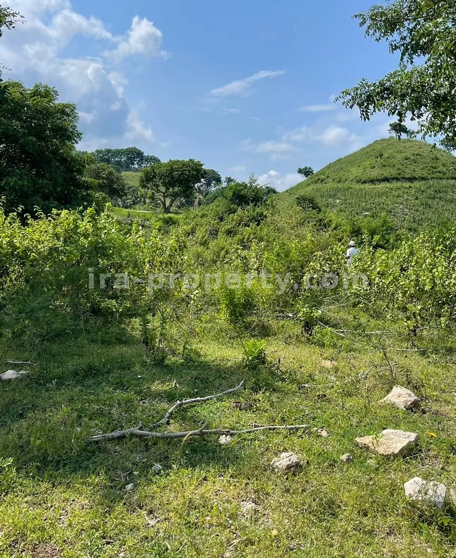 Land for Sale with Stunning Ocean View in Mawun, Kuta Mandalika