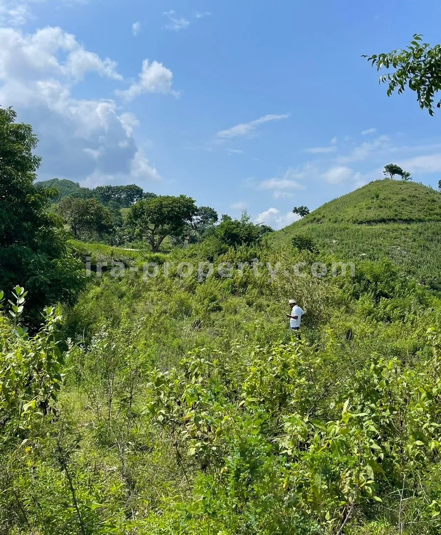 Land for Sale with Stunning Ocean View in Mawun, Kuta Mandalika