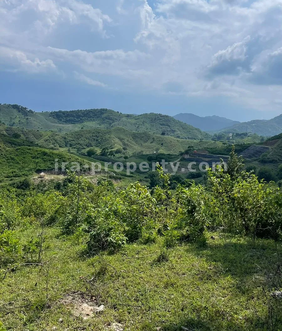 Land for Sale with Stunning Ocean View in Mawun, Kuta Mandalika